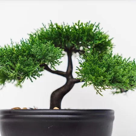 Misto Διαμέρισμα